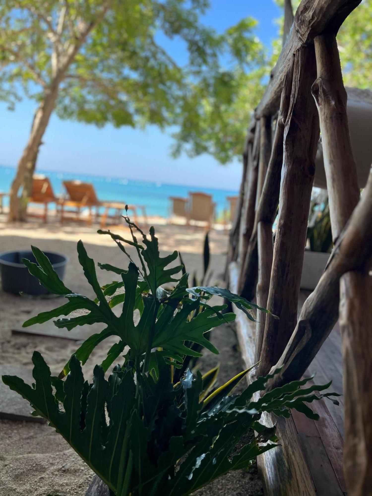 Thani Ecobeach Baru Hotel